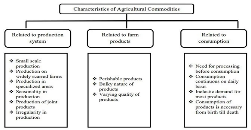 AGRICULTURAL MARKETING picture1