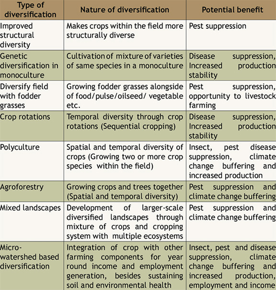 CROP DIVERSIFICATION image